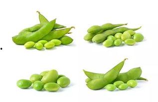 冬天吃瓜夏天吃笋