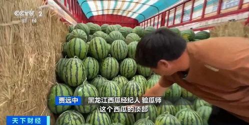 高埗吃瓜新闻,街头巷尾热议事件大盘点