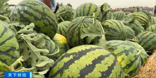 高埗吃瓜新闻,街头巷尾热议事件大盘点