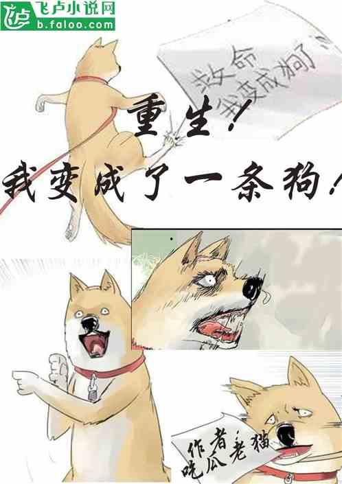 吃瓜福音小说在线阅读