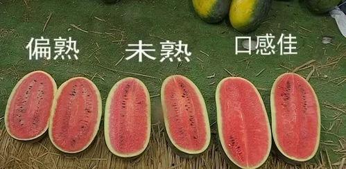 get吃瓜考古,揭秘娱乐圈背后的故事