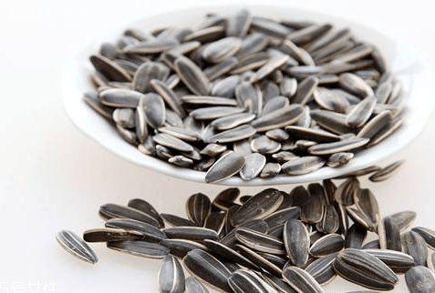 瓜子吃瓜图片,揭秘瓜子吃瓜的趣味瞬间