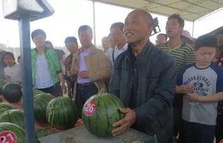 鹿邑吃瓜群众,揭秘当地独特民俗风情