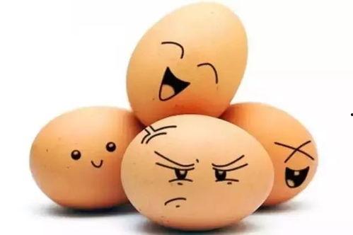 老公吃瓜情绪价值,老公吃瓜情绪价值大揭秘