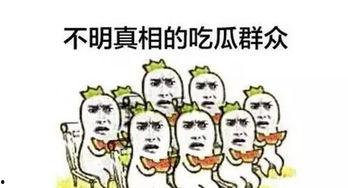 老公吃瓜情绪价值,老公吃瓜情绪价值大揭秘