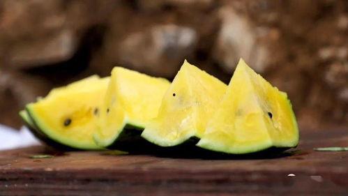 幸福湖吃瓜,瓜香四溢，共享夏日欢乐时光