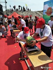 安阳镇吃瓜比赛,一场别开生面的吃瓜盛宴