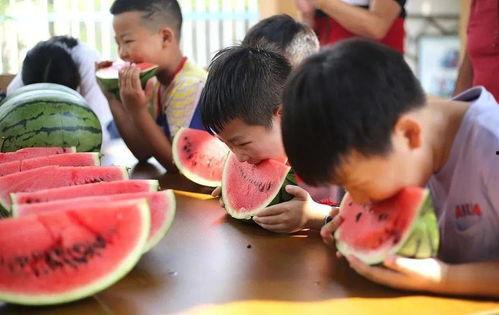 安阳镇吃瓜比赛,一场别开生面的吃瓜盛宴