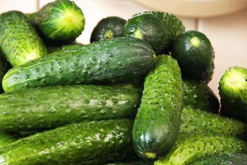 小暑吃仨瓜是,品味三瓜养生之道