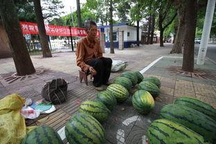 老奶卖瓜吃瓜,笑谈人生百态