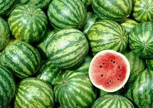 大瓜小瓜全吃,盘点娱乐圈的爆笑瞬间