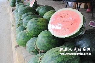 乾县吃瓜,吃瓜也能吃出地道风味