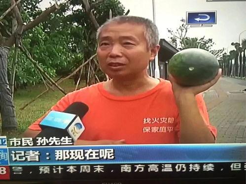 清河吃瓜群众事件,一场网络舆论的风暴与反思