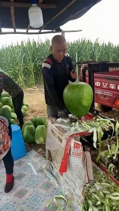 东北大爷吃瓜,品味人间烟火气