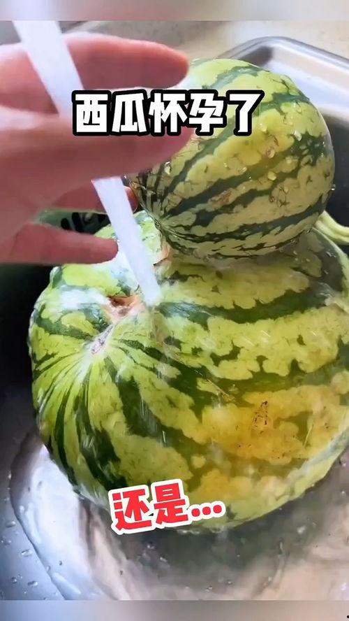 吃瓜搞笑配口型,口型演绎欢乐盛宴