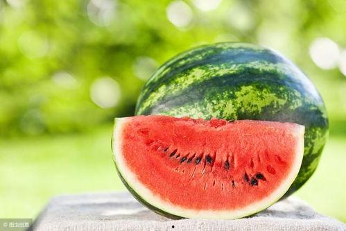 吃瓜西瓜图