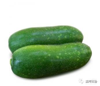 黄筋瓜可以吃吗怎么吃,黄筋瓜的食用方法与营养价值解析