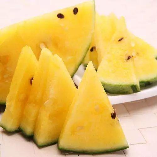 黄筋瓜可以吃吗怎么吃,黄筋瓜的食用方法与营养价值解析